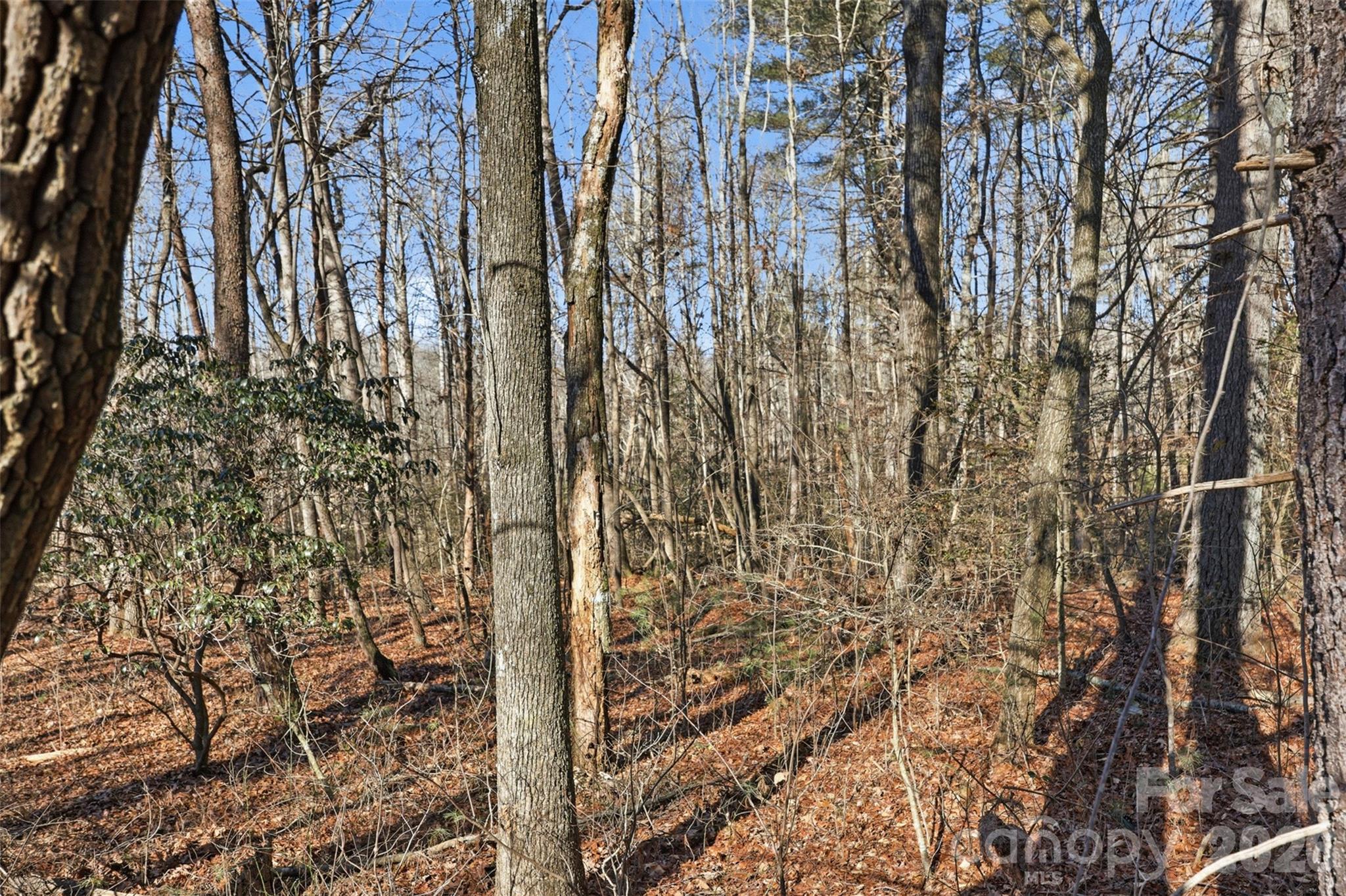 0 Three Forks Church Road Taylorsville NC 28681