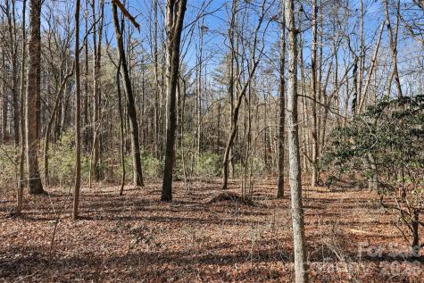 0 Three Forks Church Road Taylorsville NC 28681