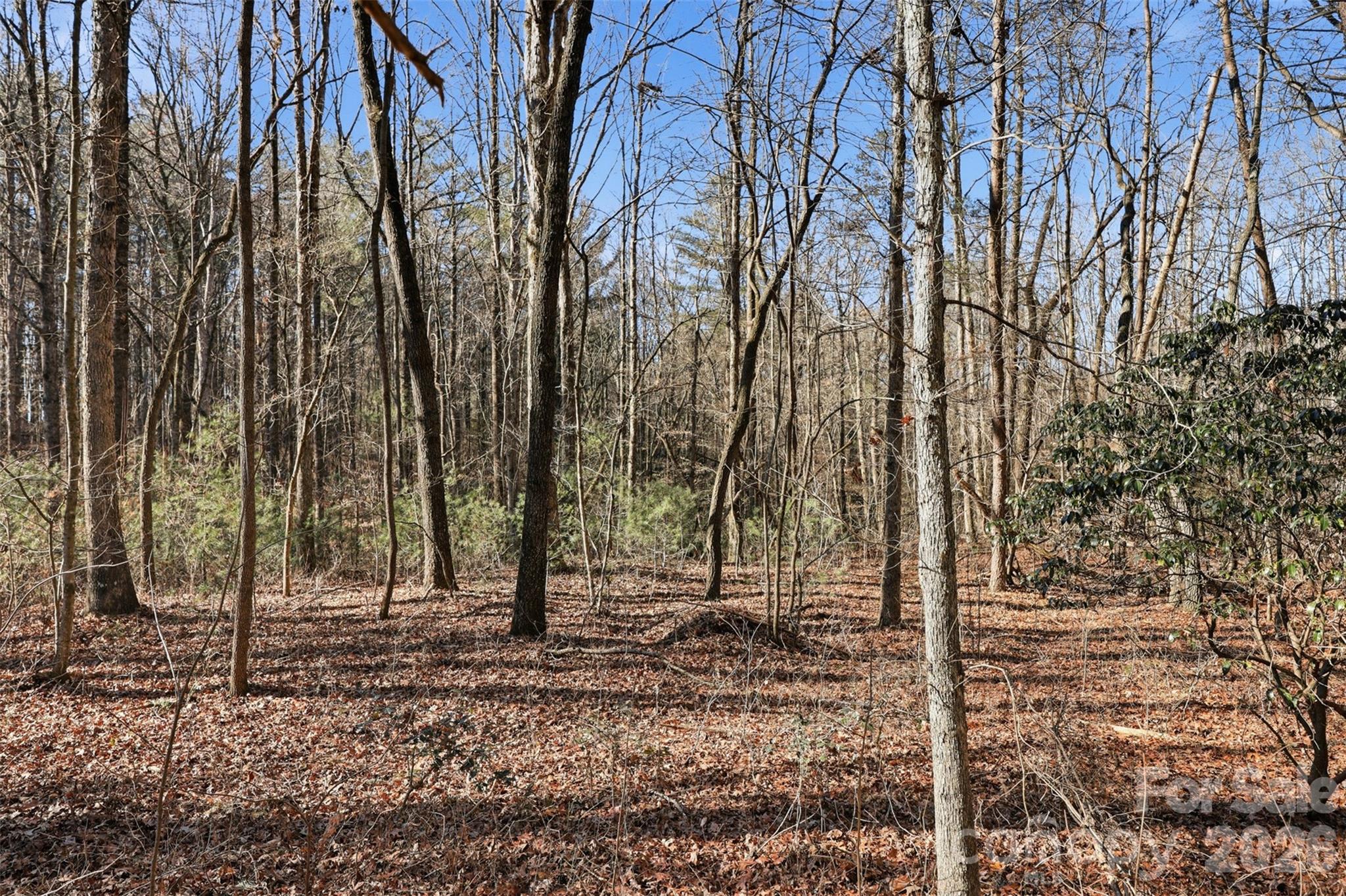 0 Three Forks Church Road Taylorsville NC 28681
