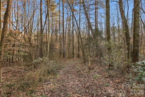 0 Three Forks Church Road Taylorsville NC 28681
