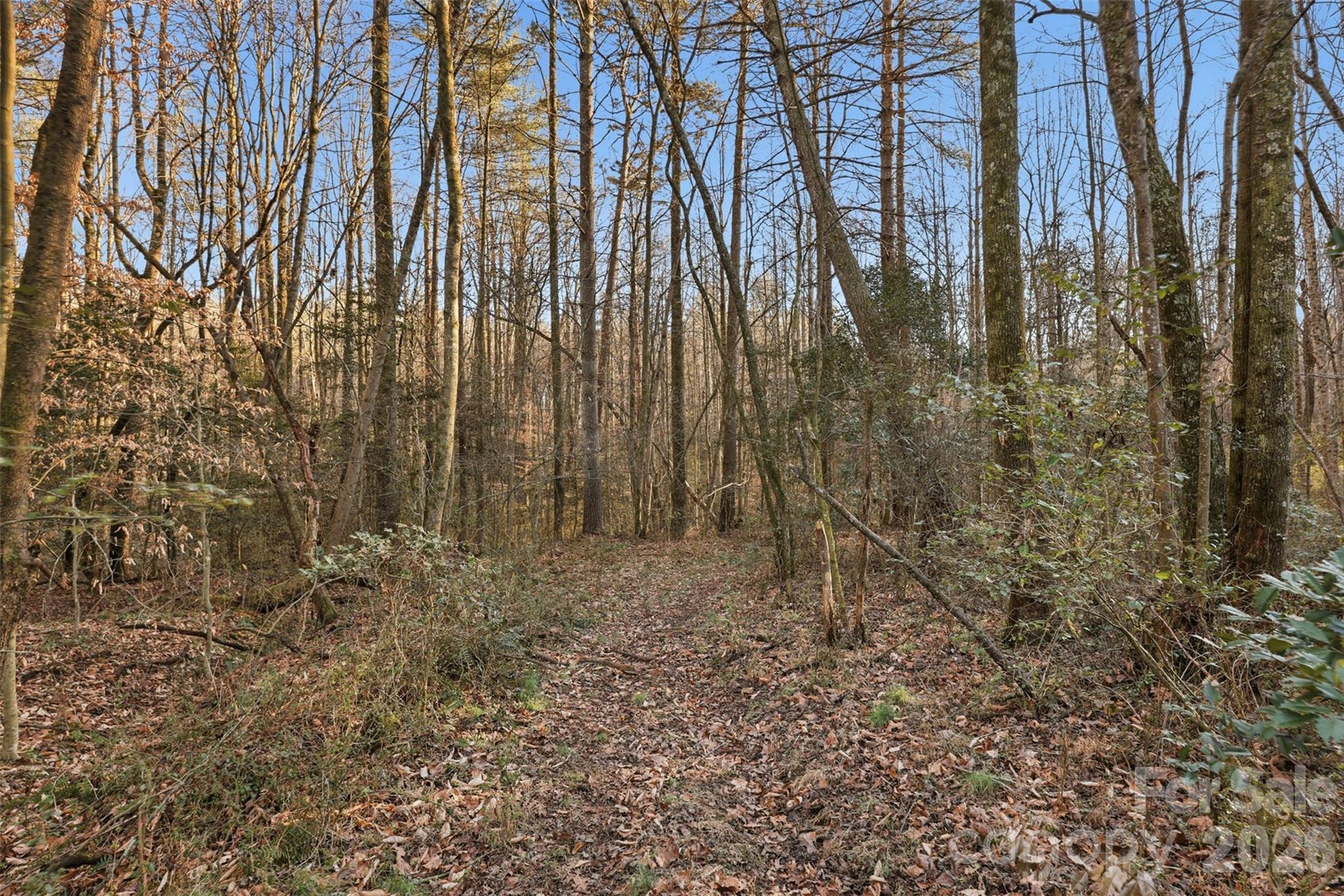 0 Three Forks Church Road Taylorsville NC 28681