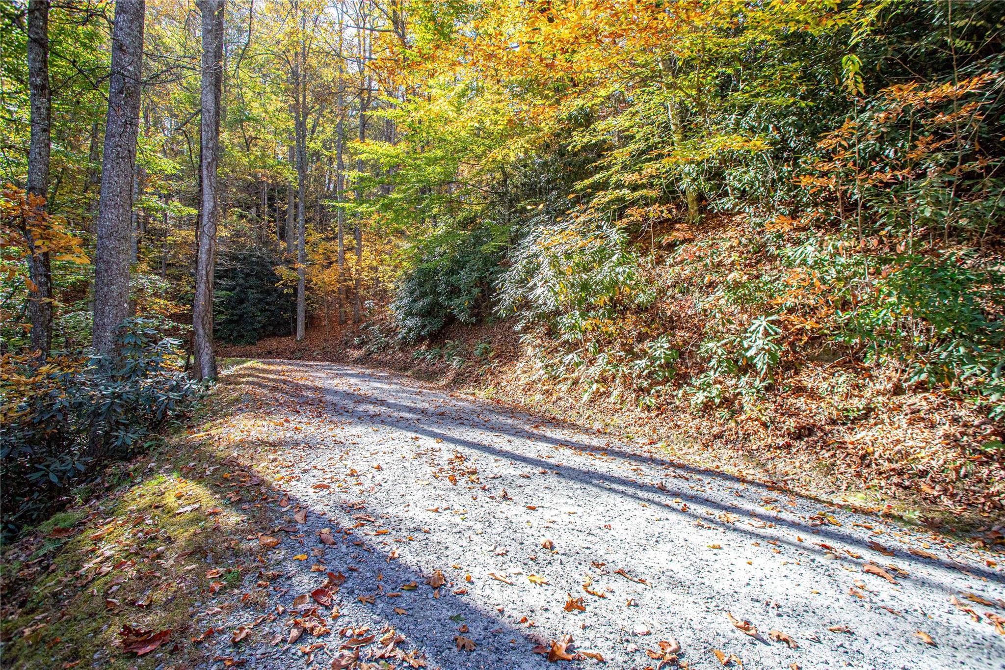 Tbd Reserve Road Brevard NC 28712