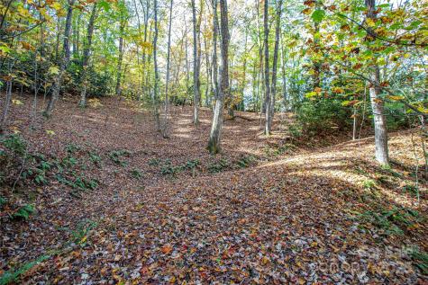 Tbd Reserve Road Brevard NC 28712