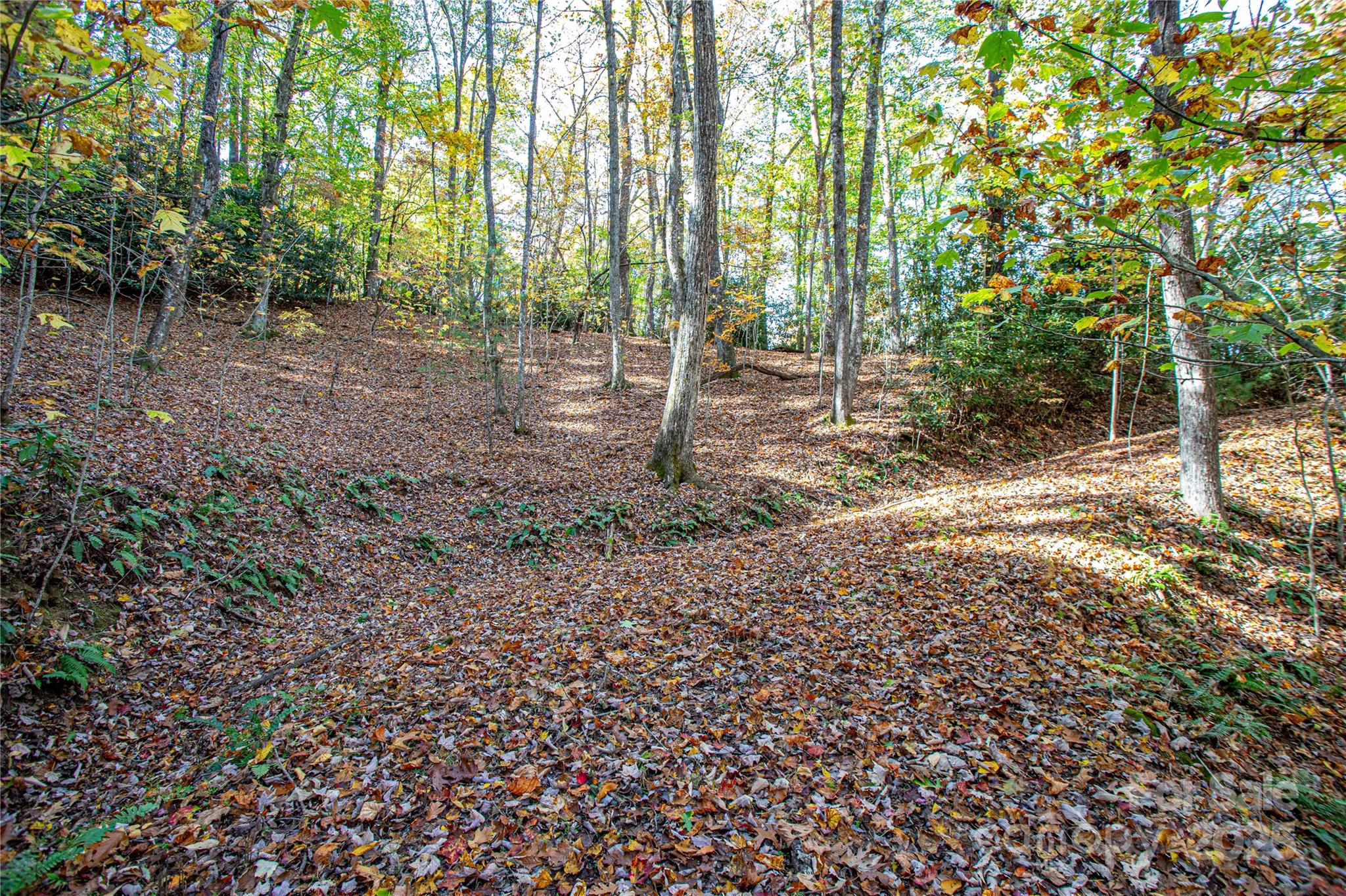 Tbd Reserve Road Brevard NC 28712