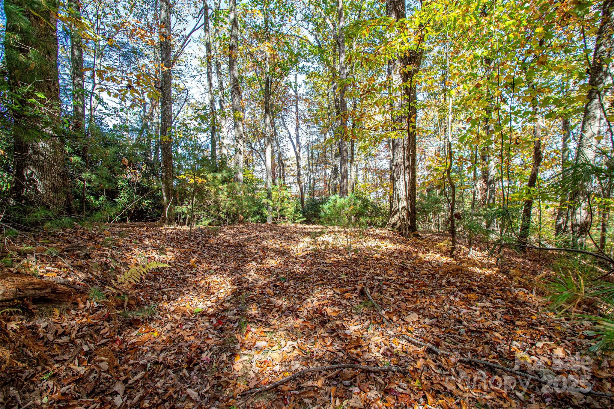 Tbd Reserve Road Brevard NC 28712