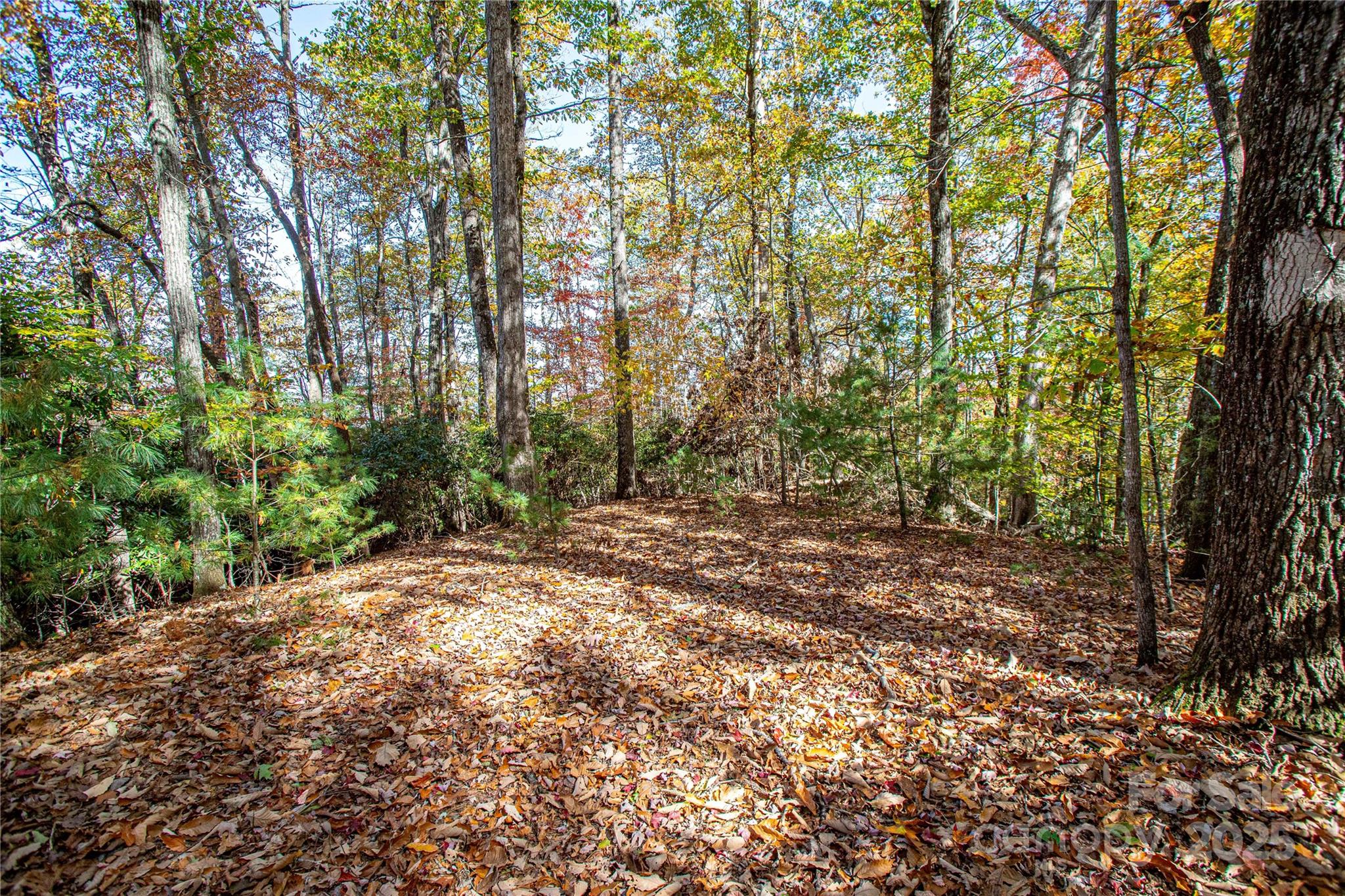 Tbd Reserve Road Brevard NC 28712