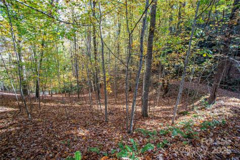 Tbd Reserve Road Brevard NC 28712