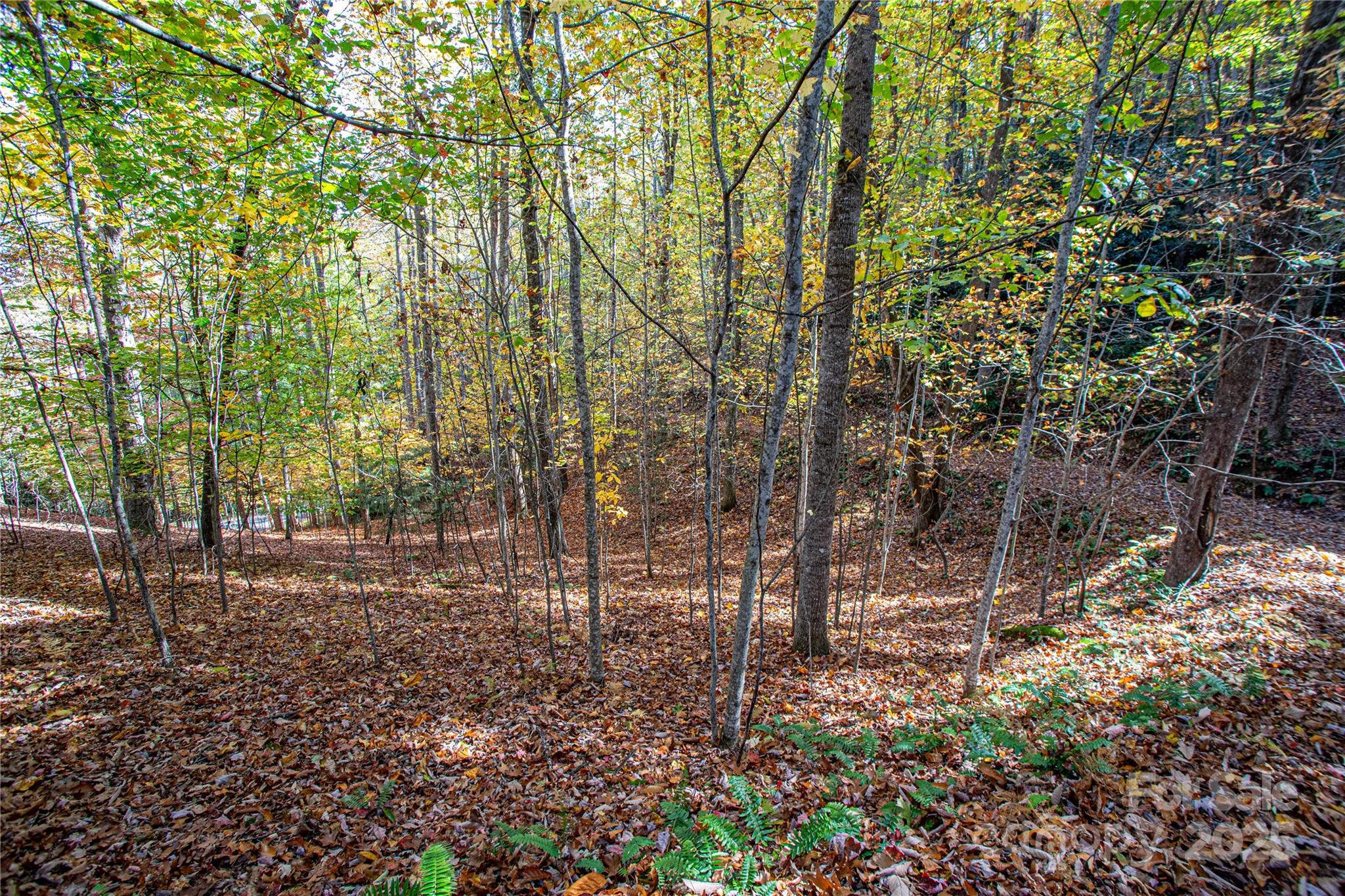Tbd Reserve Road Brevard NC 28712