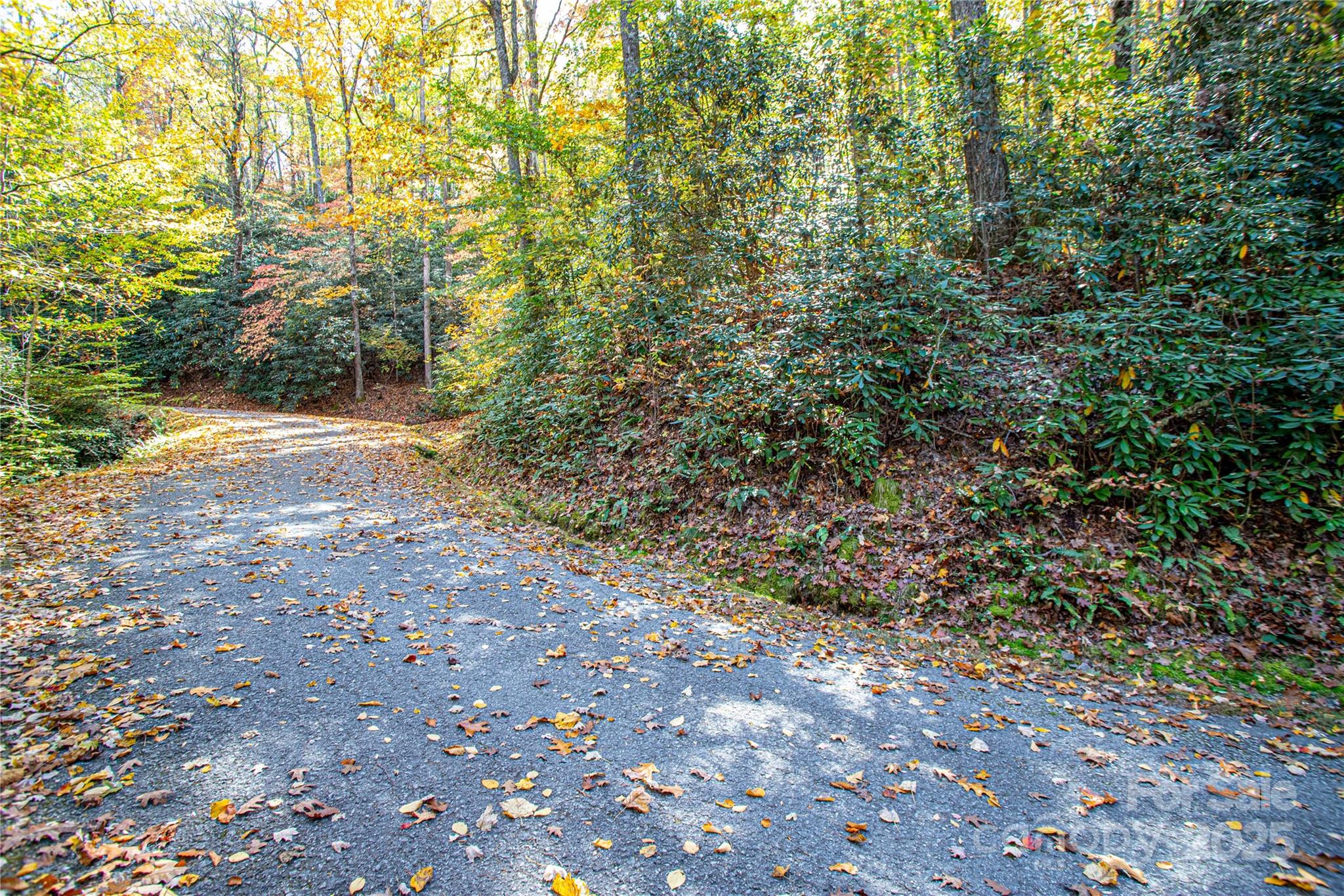 Tbd Reserve Road Brevard NC 28712