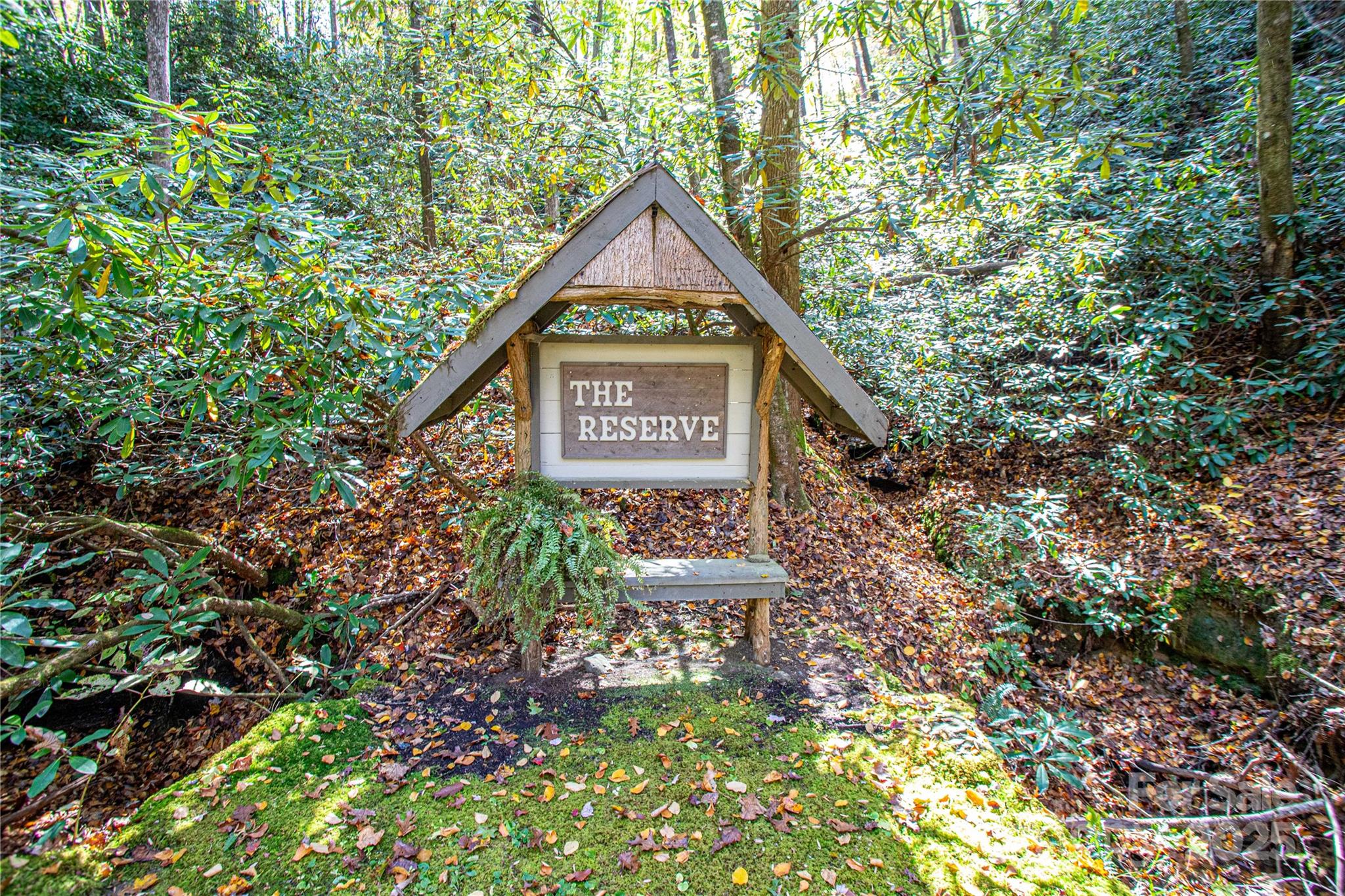 Tbd Reserve Road Brevard NC 28712