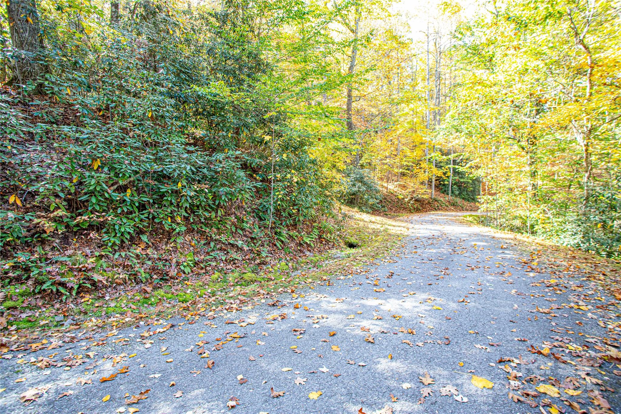 Tbd Reserve Road Brevard NC 28712