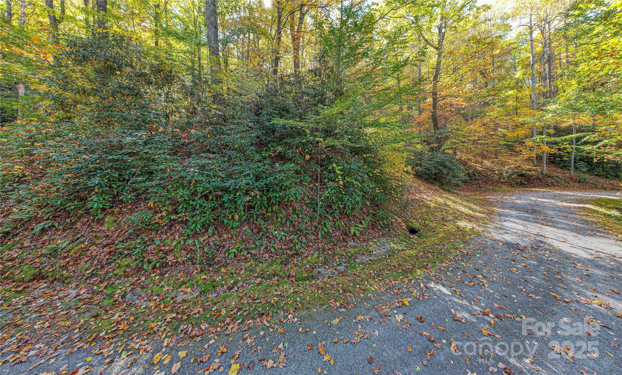 Tbd Reserve Road Brevard NC 28712