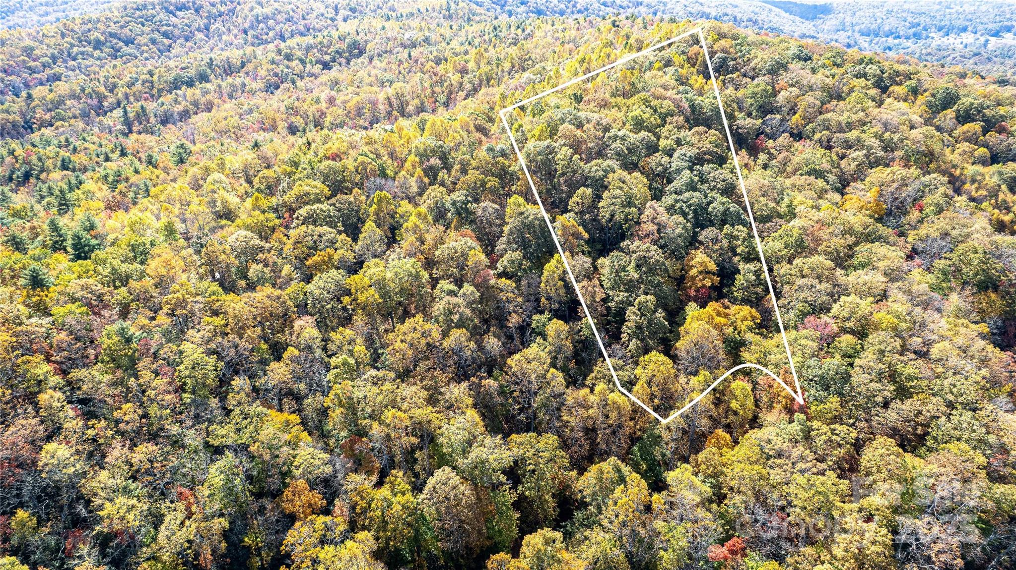 Tbd Reserve Road Brevard NC 28712