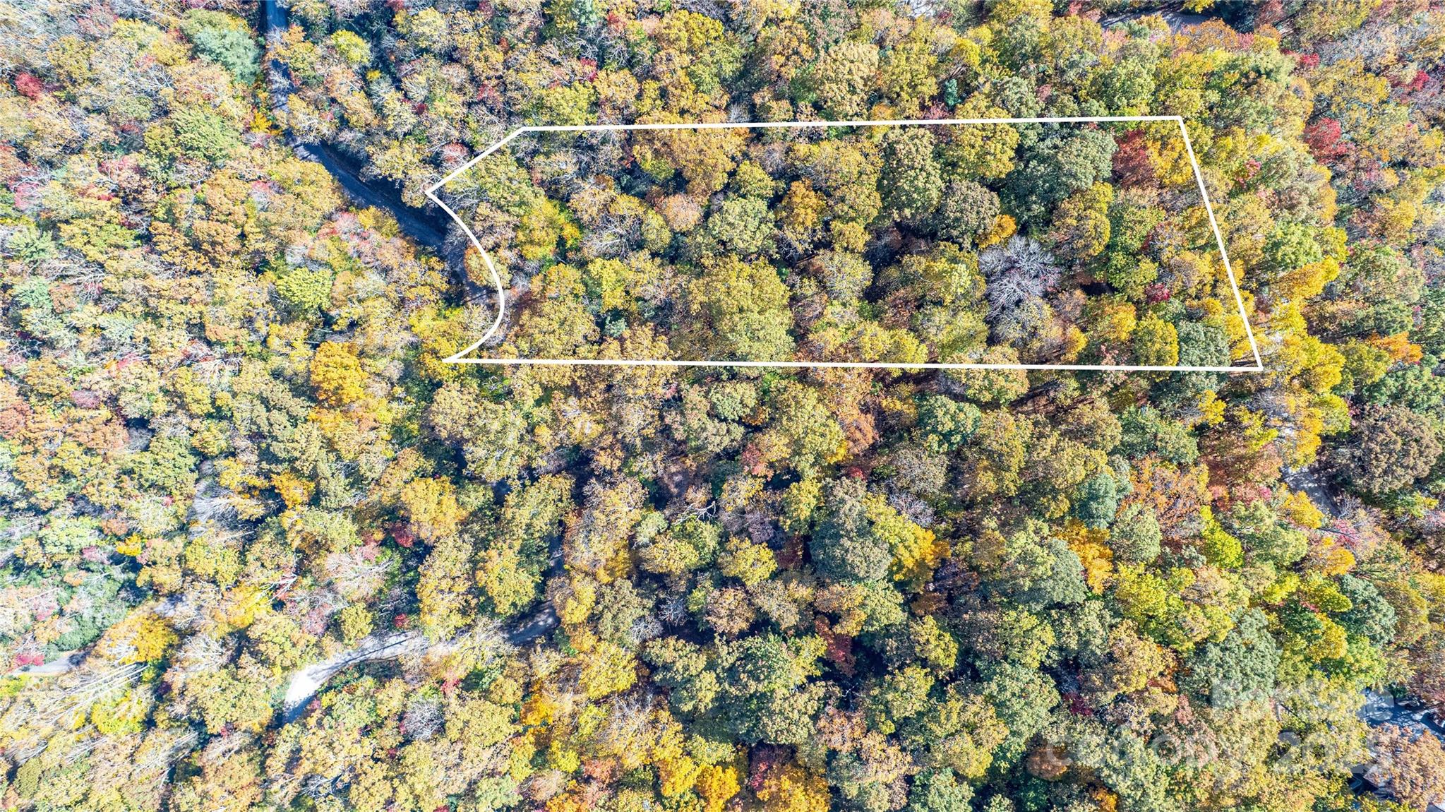 Tbd Reserve Road Brevard NC 28712