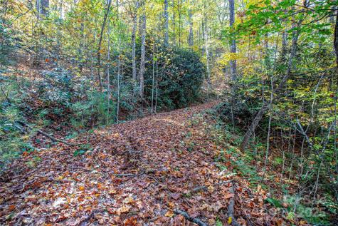 Tbd Reserve Road Brevard NC 28712