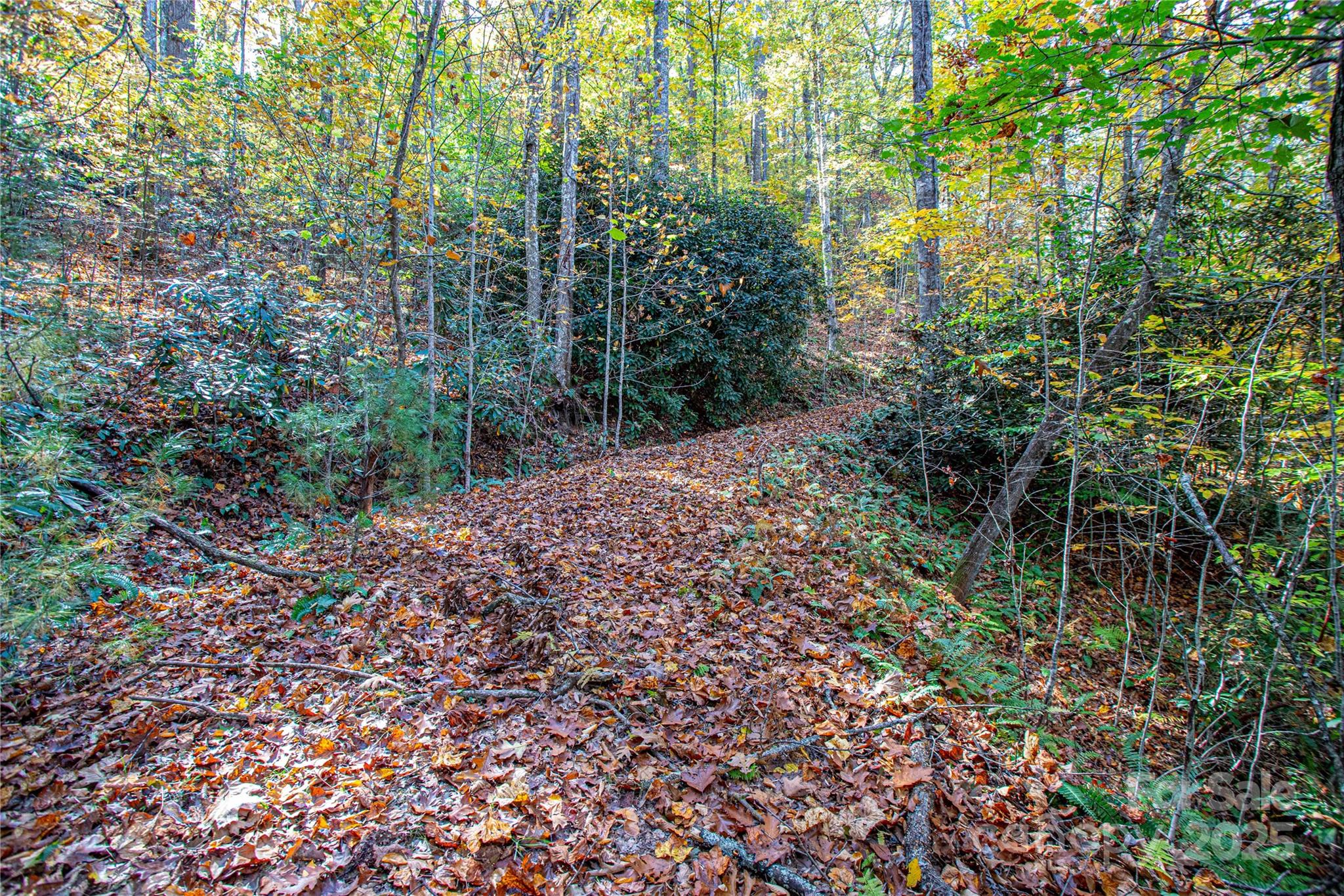 Tbd Reserve Road Brevard NC 28712