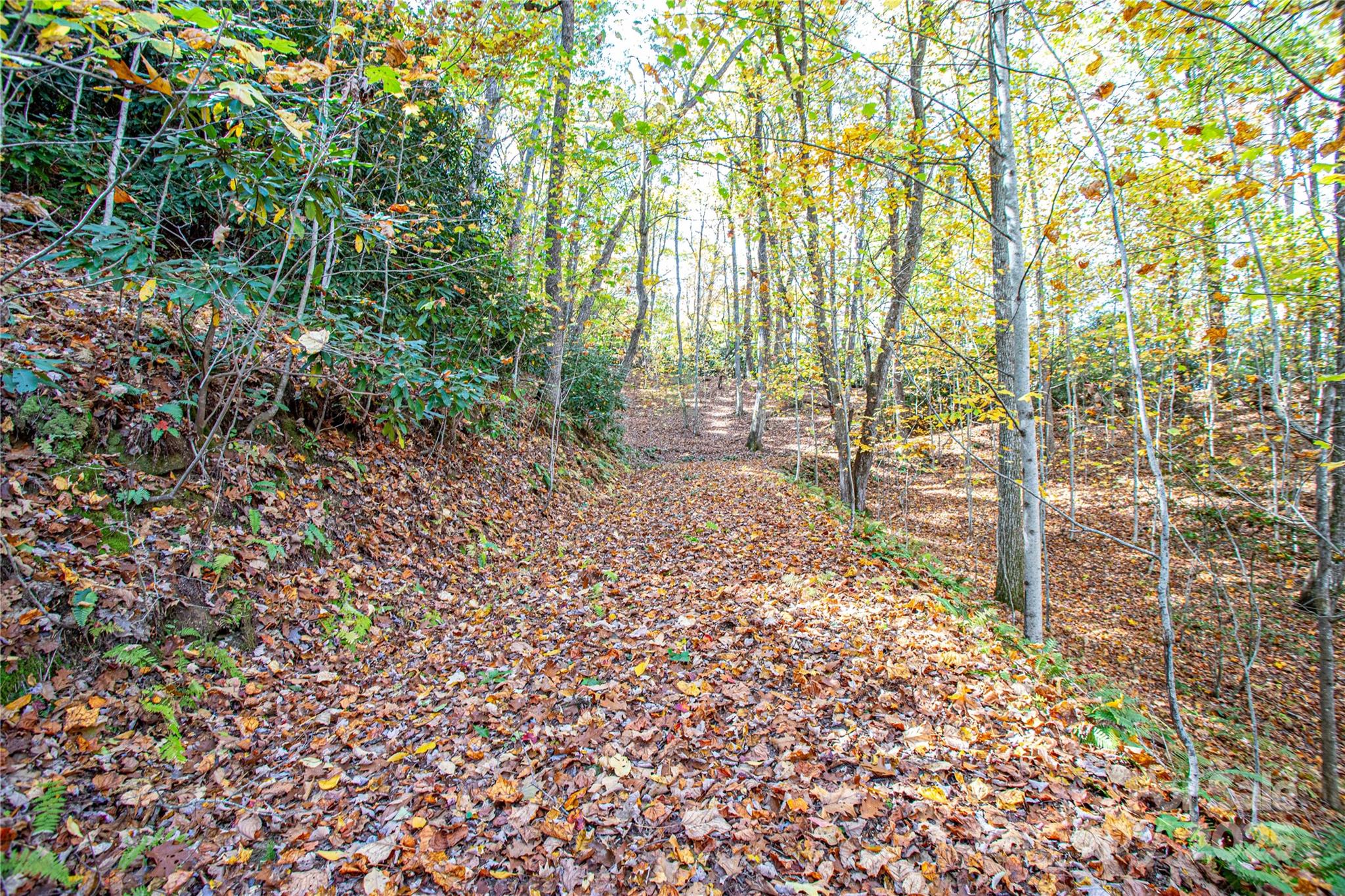 Tbd Reserve Road Brevard NC 28712