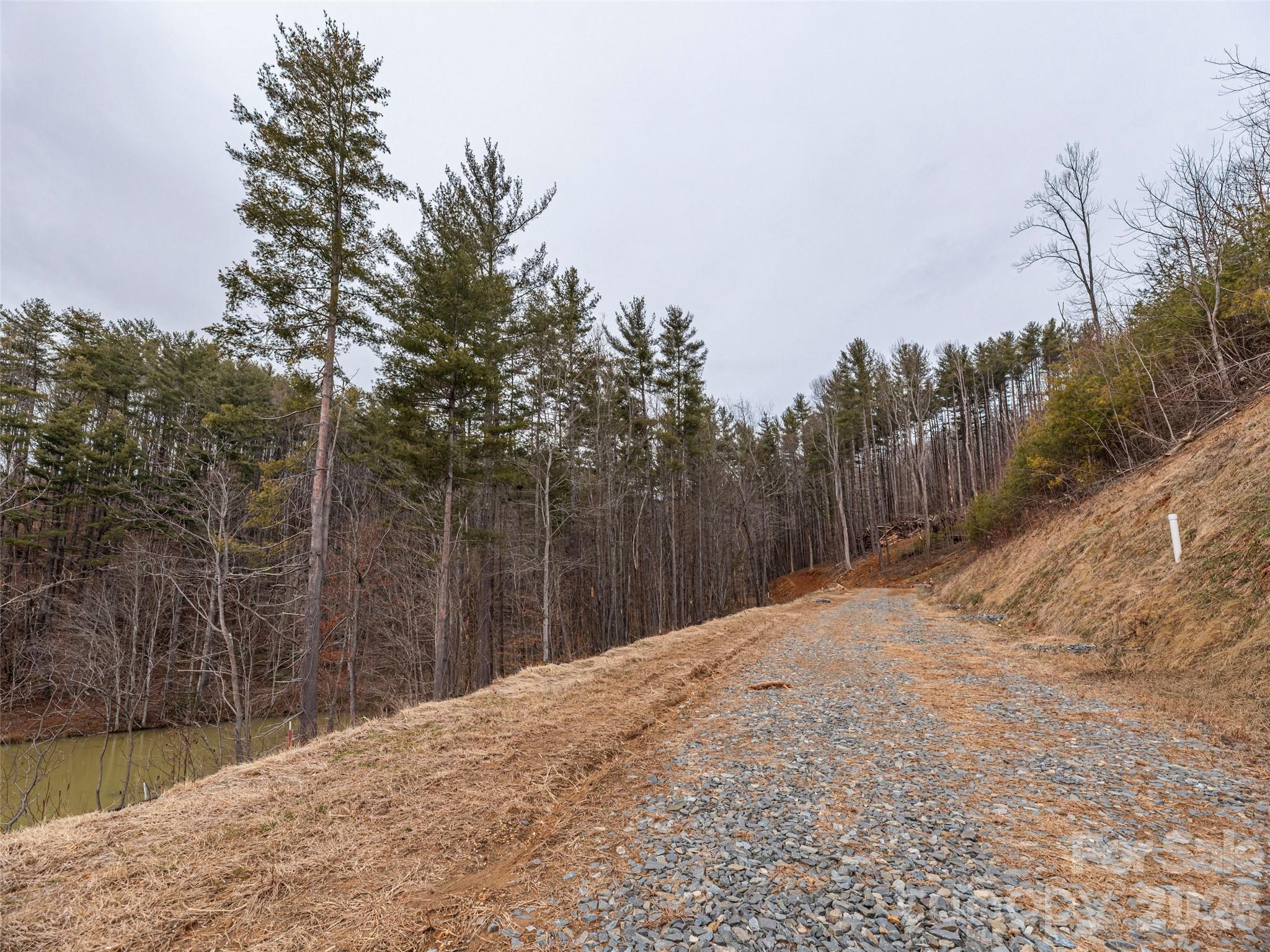 9 Freshwater Cove Maggie Valley NC 28751