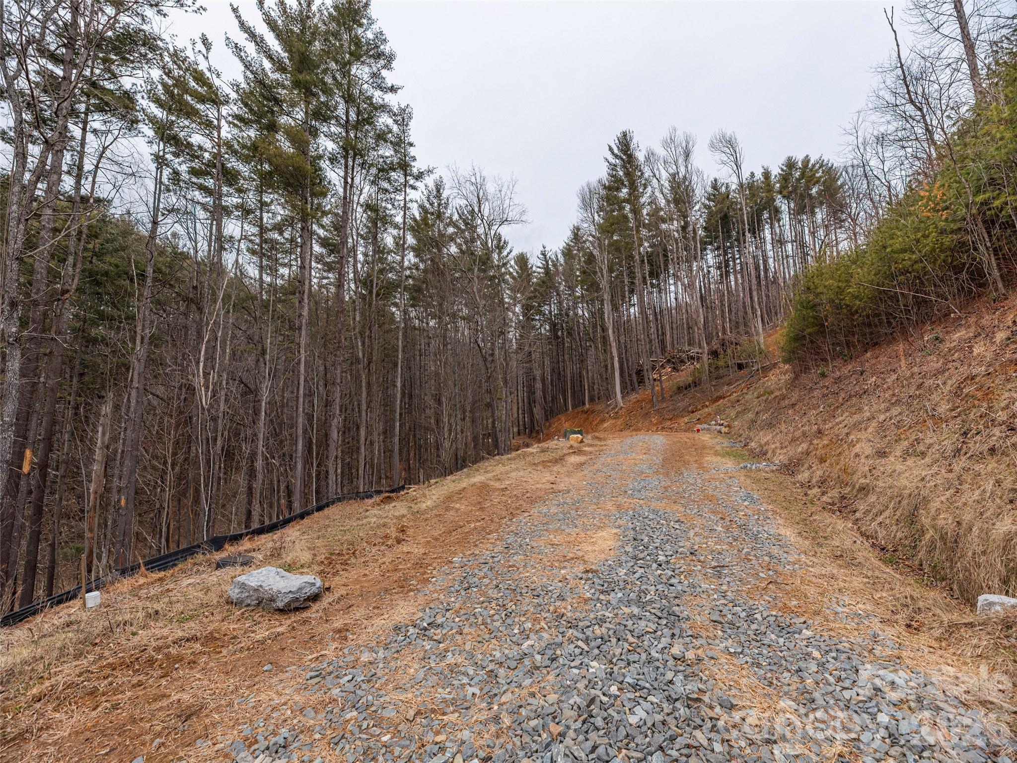 9 Freshwater Cove Maggie Valley NC 28751