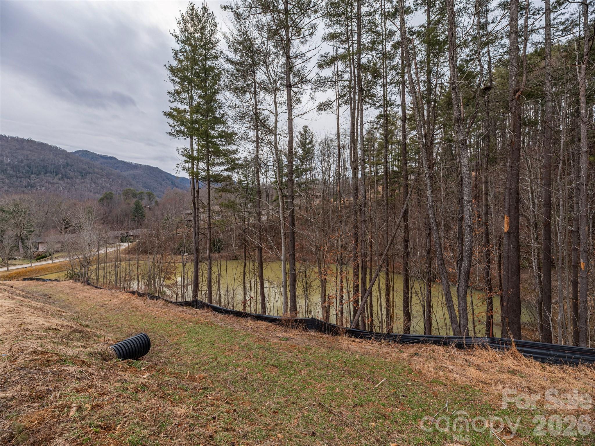 9 Freshwater Cove Maggie Valley NC 28751