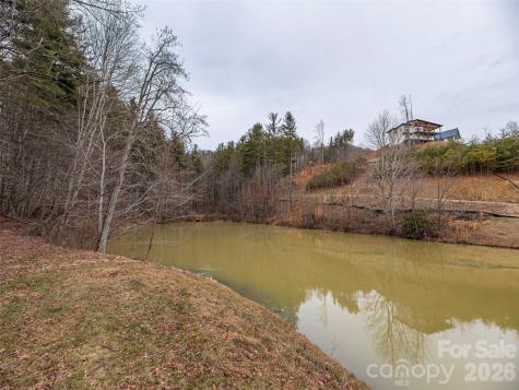 9 Freshwater Cove Maggie Valley NC 28751