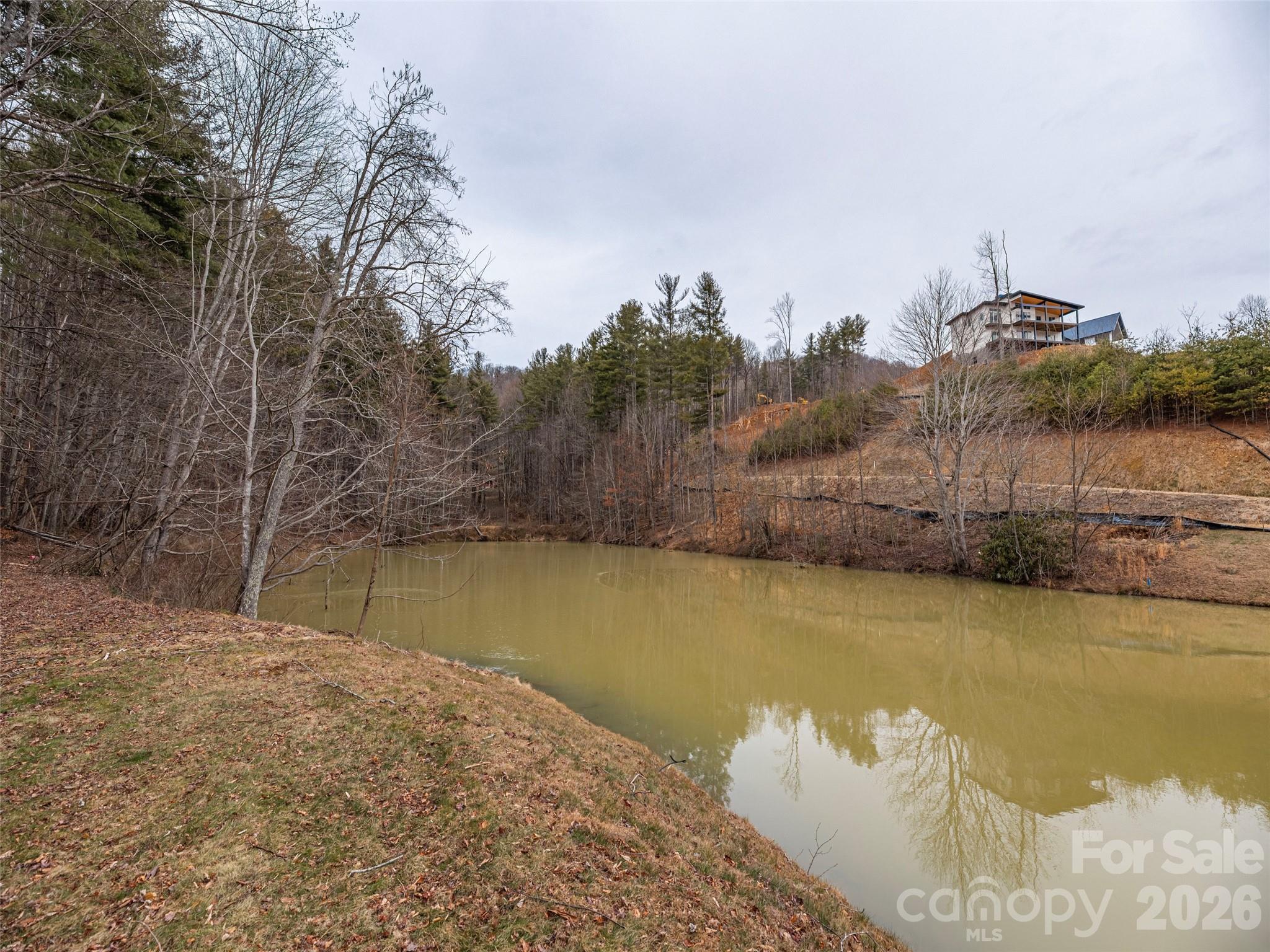 9 Freshwater Cove Maggie Valley NC 28751
