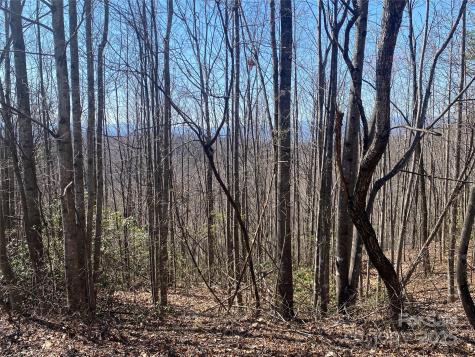 Lot 72 Mountain Crest Drive S Marion NC 28752