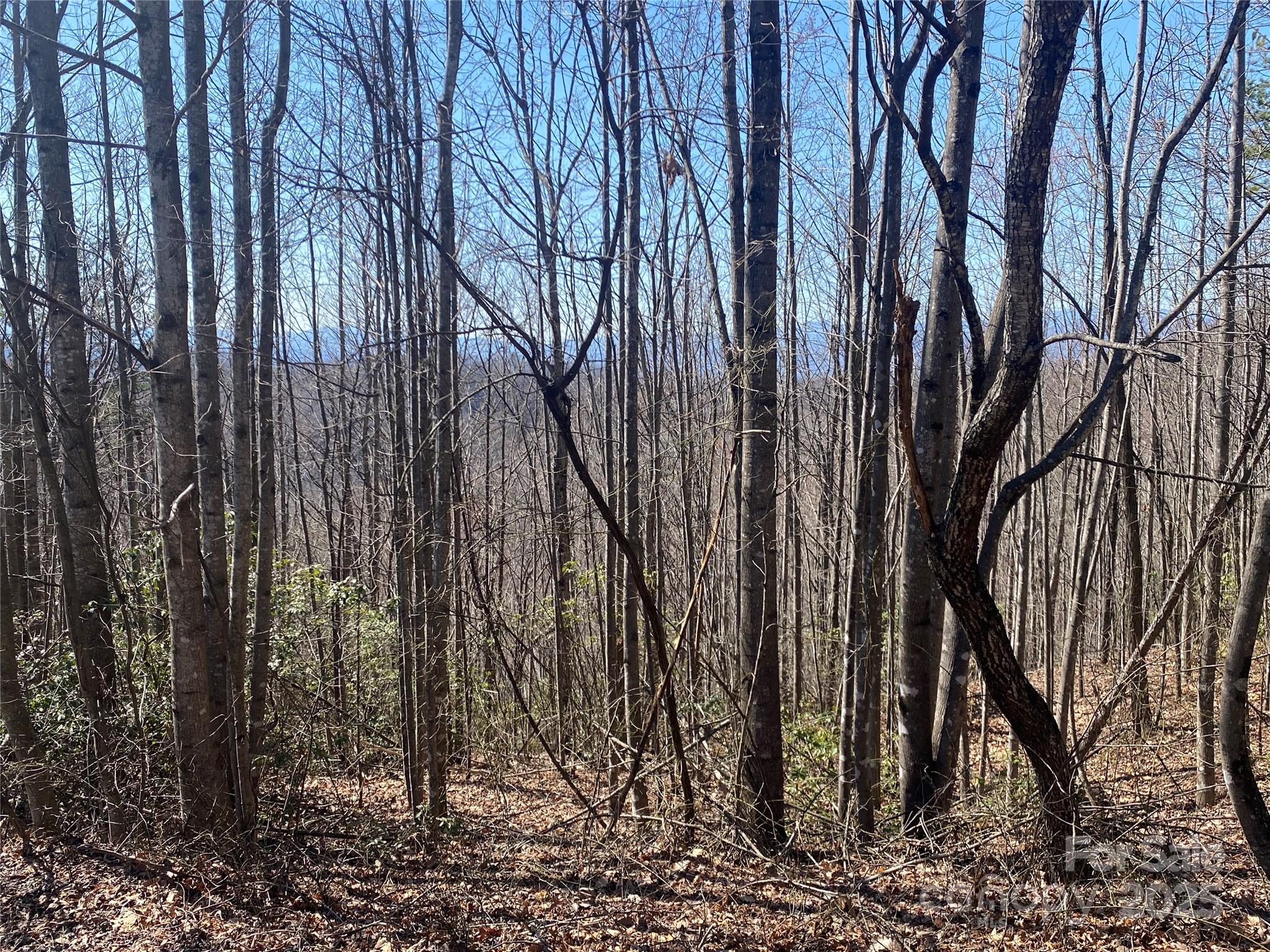 Lot 72 Mountain Crest Drive S Marion NC 28752
