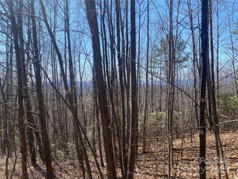 Lot 72 Mountain Crest Drive S Marion NC 28752