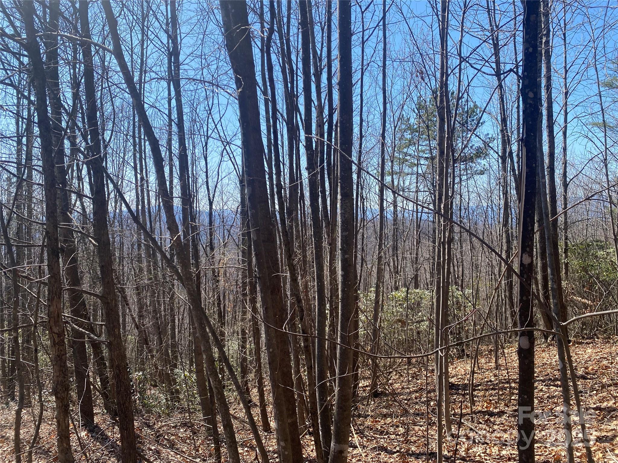 Lot 72 Mountain Crest Drive S Marion NC 28752