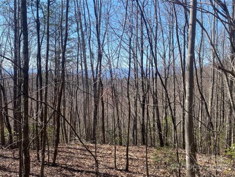 Lot 72 Mountain Crest Drive S Marion NC 28752