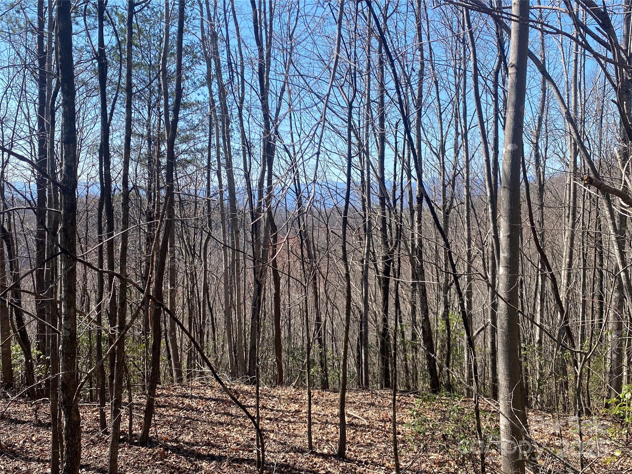 Lot 72 Mountain Crest Drive S Marion NC 28752