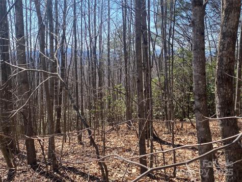 Lot 72 Mountain Crest Drive S Marion NC 28752