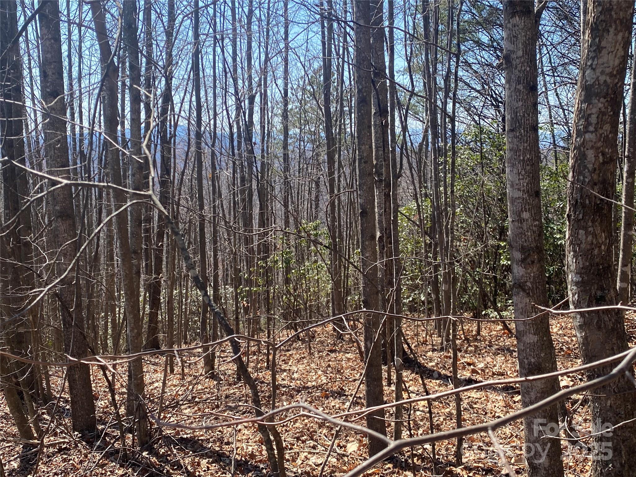 Lot 72 Mountain Crest Drive S Marion NC 28752