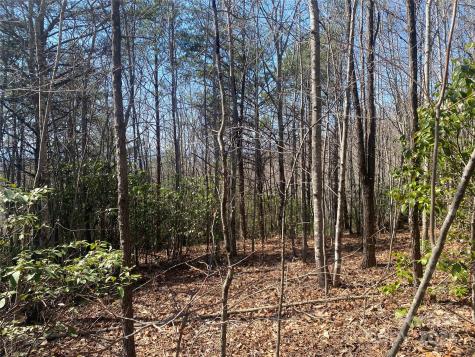 Lot 72 Mountain Crest Drive S Marion NC 28752
