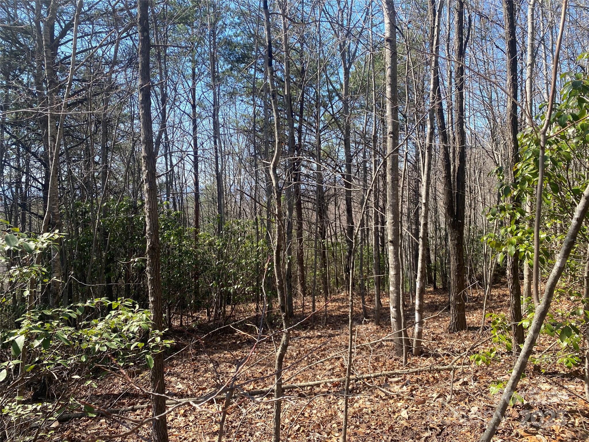 Lot 72 Mountain Crest Drive S Marion NC 28752