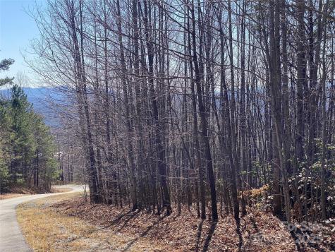 Lot 72 Mountain Crest Drive S Marion NC 28752