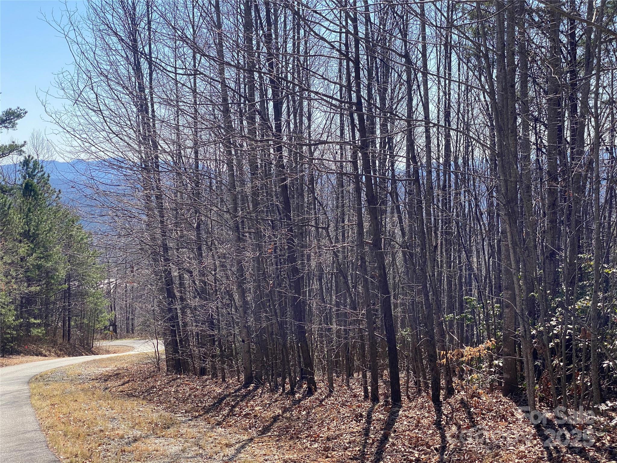 Lot 72 Mountain Crest Drive S Marion NC 28752