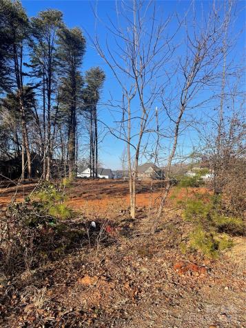 Lot 2 Conner Cove Lane Denver NC 28037