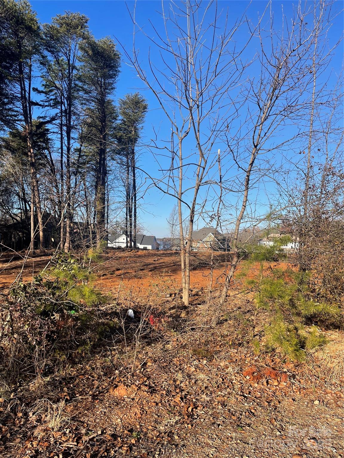 Lot 2 Conner Cove Lane Denver NC 28037