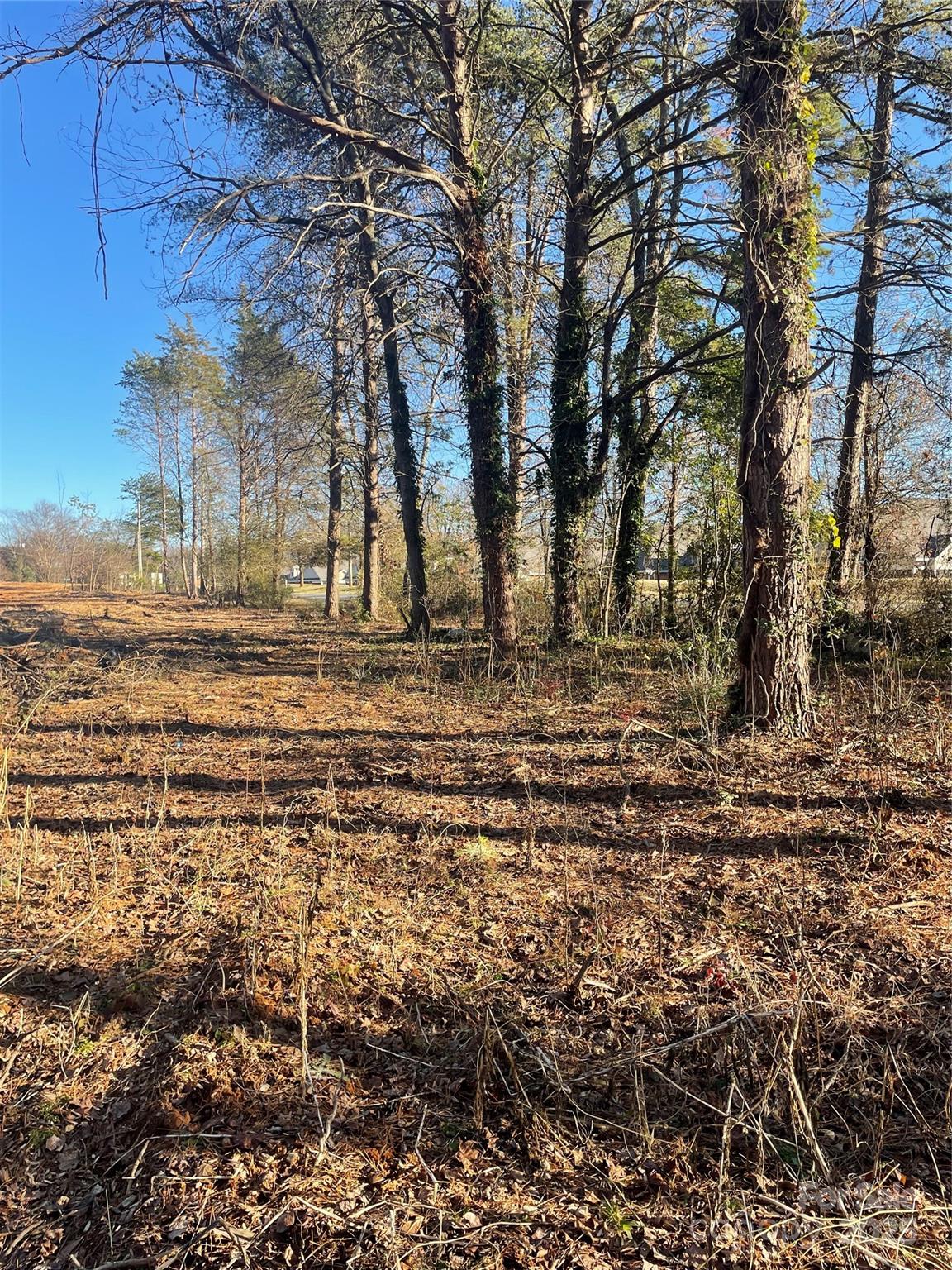 Lot 2 Conner Cove Lane Denver NC 28037