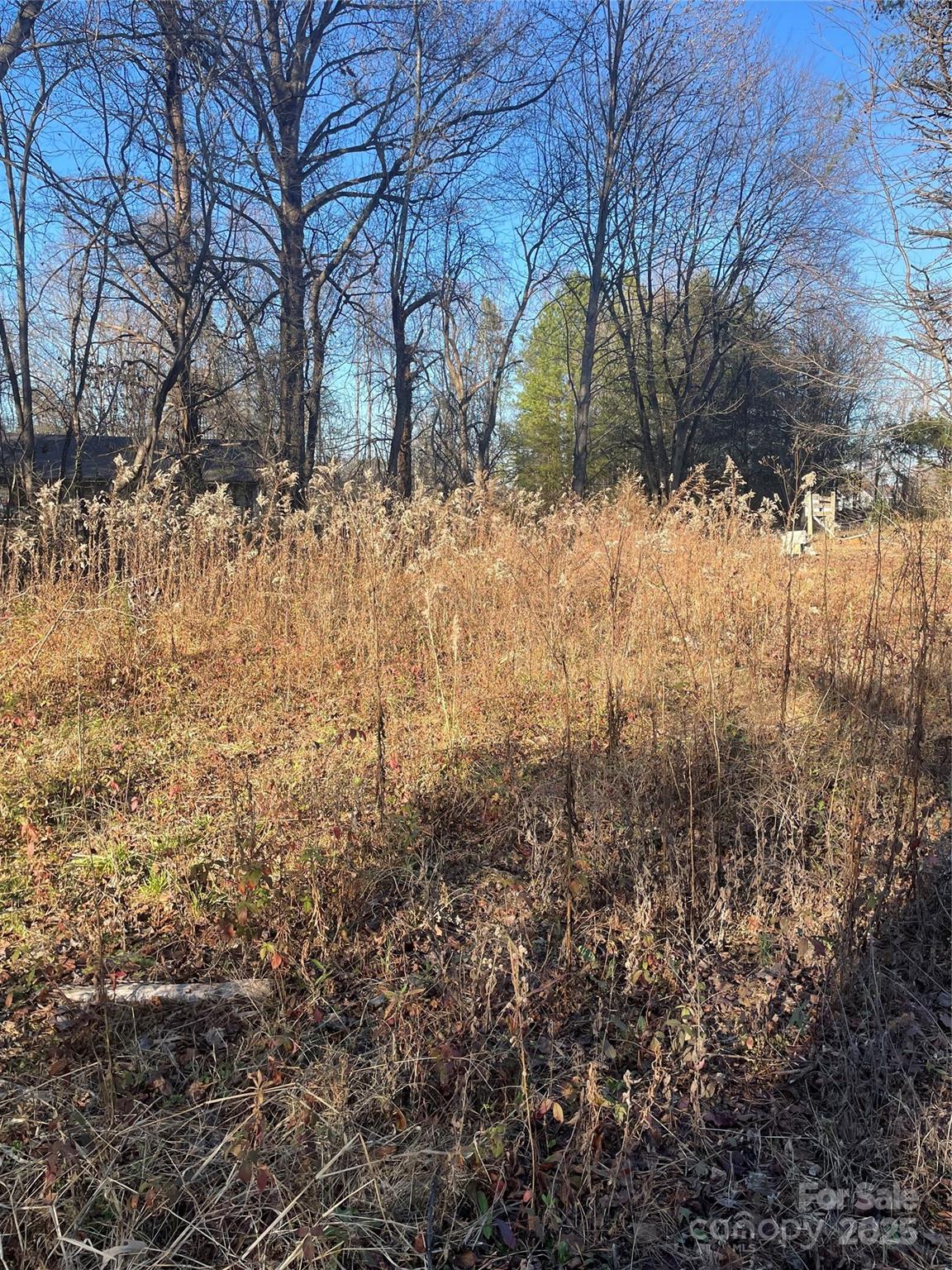 Lot 2 Conner Cove Lane Denver NC 28037