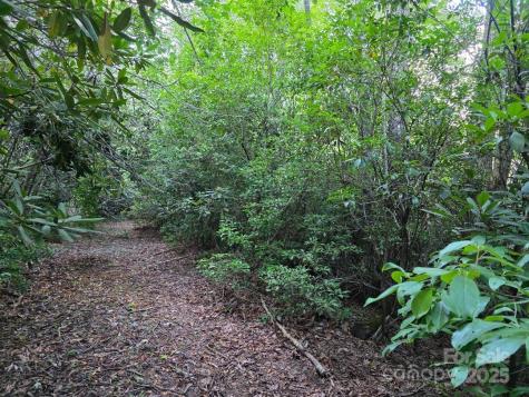 Lot 2 Pine Ridge Road Burnsville NC 28714