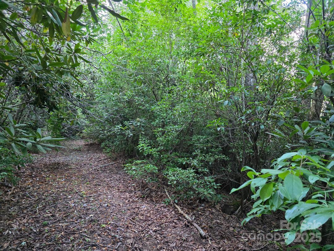 Lot 2 Pine Ridge Road Burnsville NC 28714