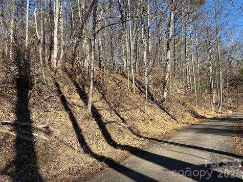 999 Echo Hill Drive Green Mountain NC 28740