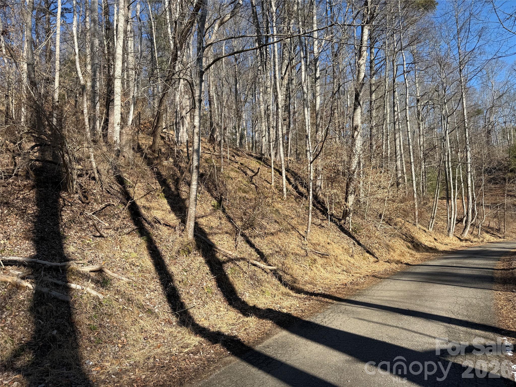 999 Echo Hill Drive Green Mountain NC 28740