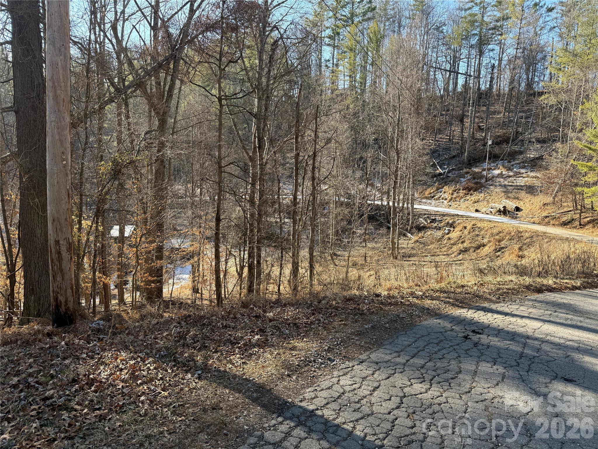 999 Echo Hill Drive Green Mountain NC 28740
