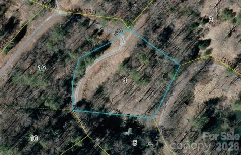 999 Echo Hill Drive Green Mountain NC 28740