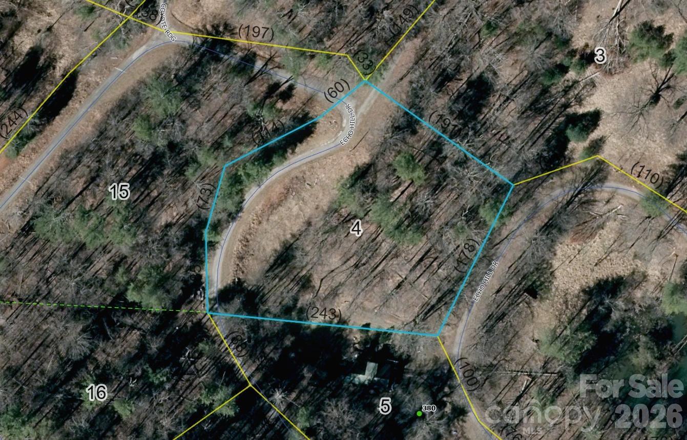 999 Echo Hill Drive Green Mountain NC 28740