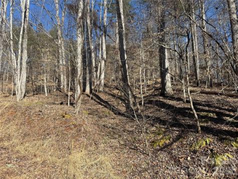 999 Echo Hill Drive Green Mountain NC 28740